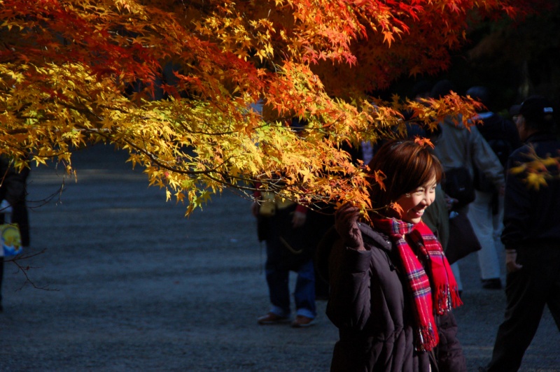 Autumn_Colors_Kyoto_Japan | Kyuhoshi