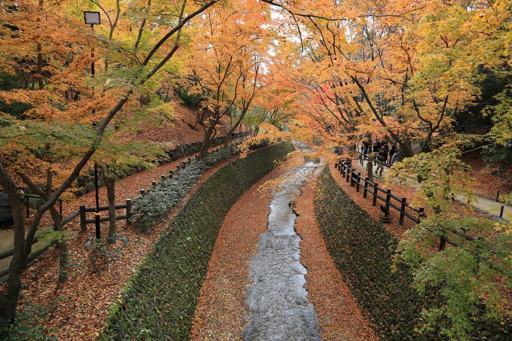 Kitano_Tenmangu_Shrine_Autumn_Leaves_Kyoto