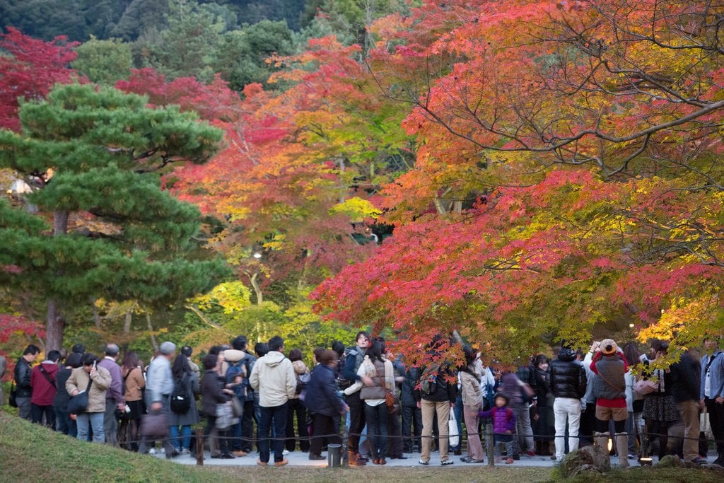 Kodaiji_Temple_Autumn_Leaves_Kyoto