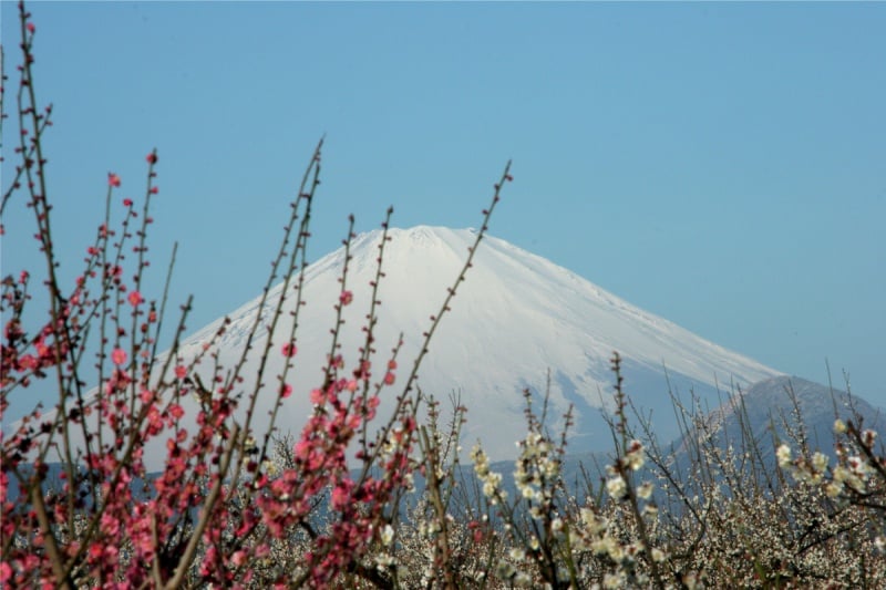 Japan's Public Holidays Calendar 2025-2026 | Kyuhoshi