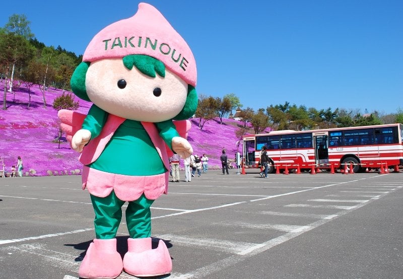 takinoue_shibazakura_festival_hokkaido