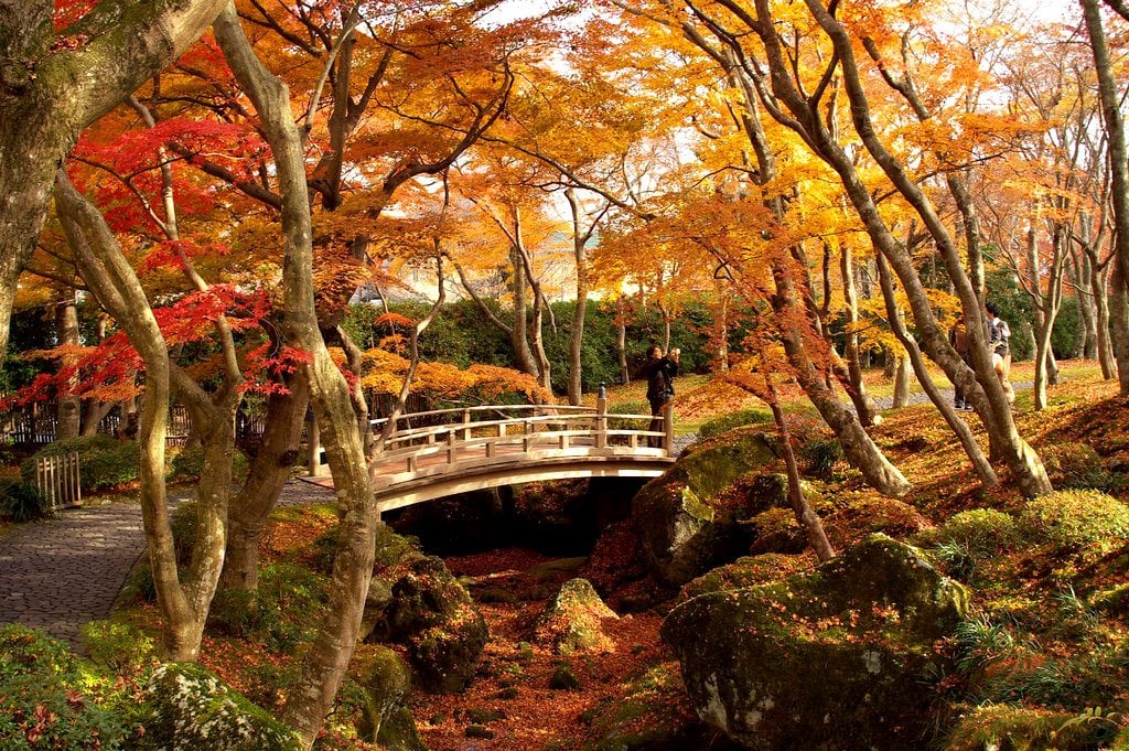 autumn_leaves_hakone_museum_of_art