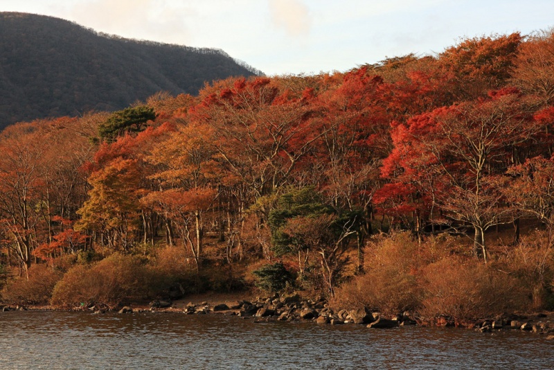 lake_ashi_in_autumn Kyuhoshi