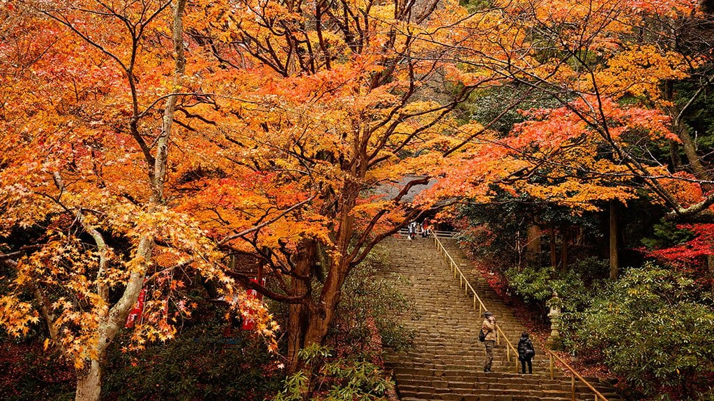 muroji_temple_fall_foliage_nara