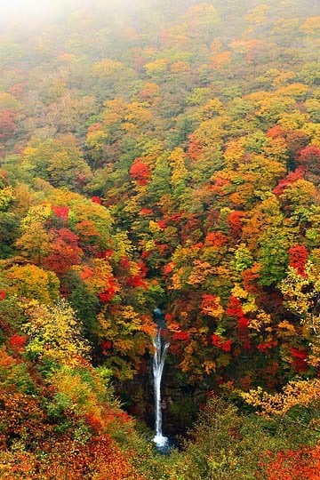 komadome_falls_autumn_foliage_tochigi