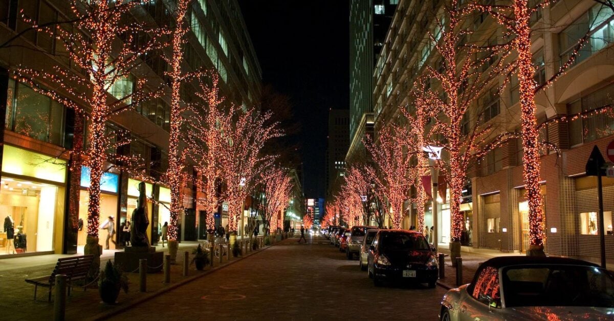 Cold Tokyo What to Do in Tokyo in Winter | Tokyo Travel | Kyuhoshi