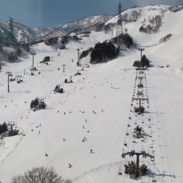 2021 Japan Winter Festivals Calendar | Kyuhoshi