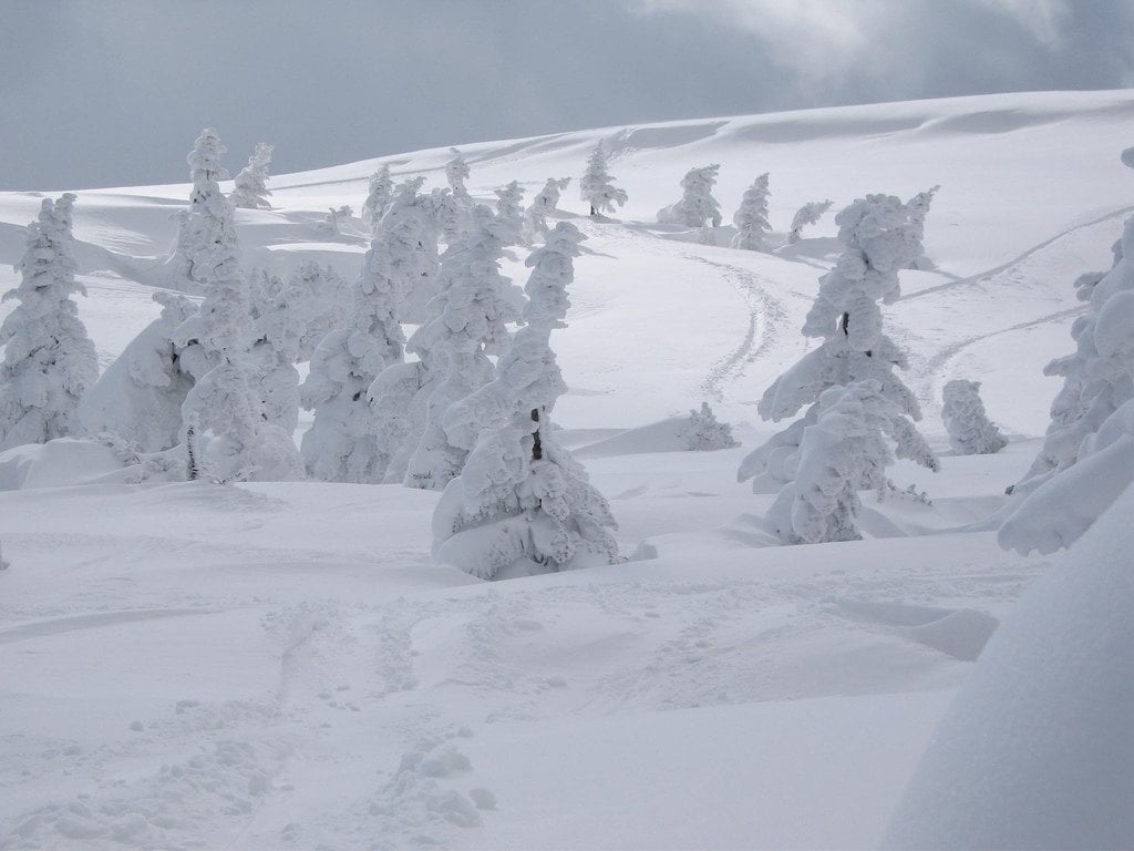 hakkoda_mountains_snow_monsters_aomori