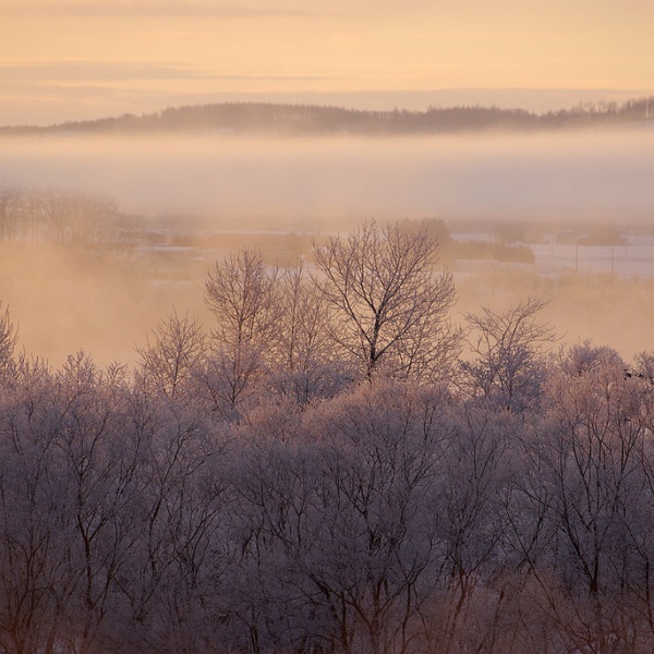 2021 Japan Winter Festivals Calendar | Kyuhoshi