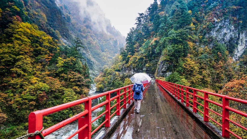 10 Best Places to See Wildlife in Japan | Kyuhoshi