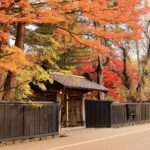 Autumn in Japan