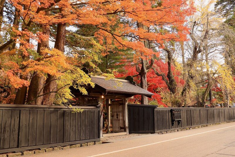 Autumn in Japan