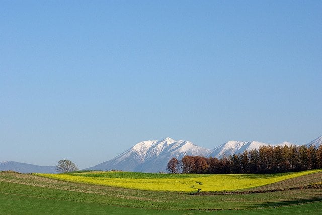 Biei Landscape, Hokkaido