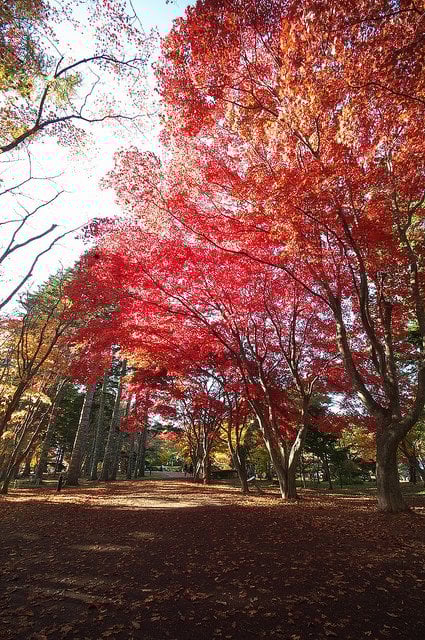 Miharashi Park (Kosetsuen) in Autumn, Hakodate
