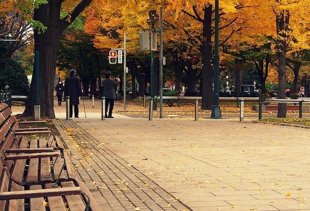 Autumn foliage in Odori Park, Sapporo