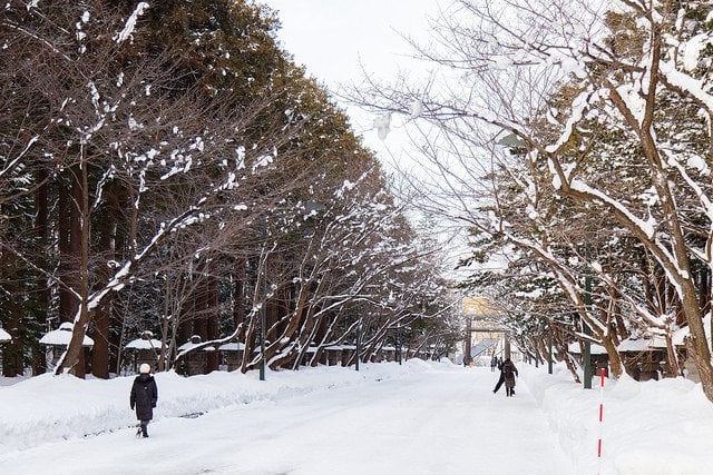 Hokkaido Shrine in Winter, Sapporo, Japan