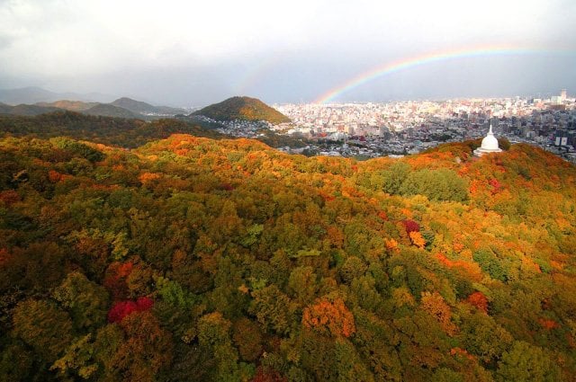 Mount Moiwa - Autumn Leaves, Sapporo