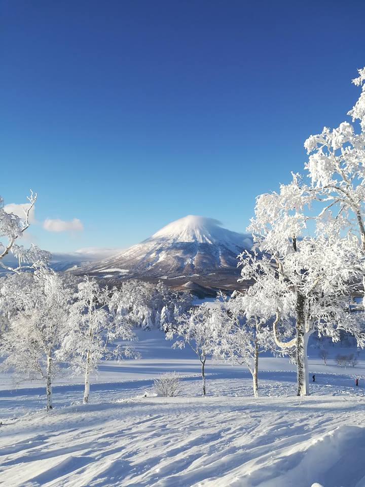 Rusutsu Resort in the Winter, perfect for a ski vacation!