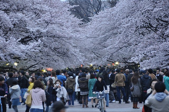 tokyo must visit garden