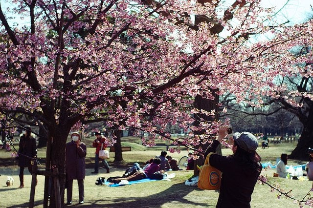 tokyo must visit garden