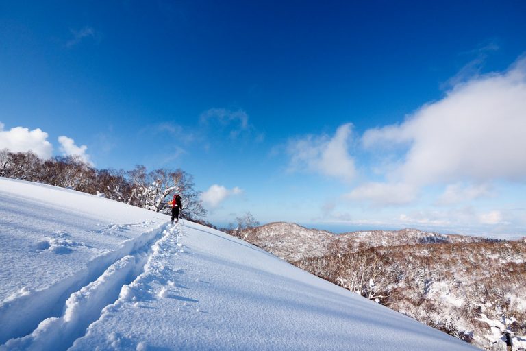 SAPPORO WEATHER PAST WEEK visual data 5