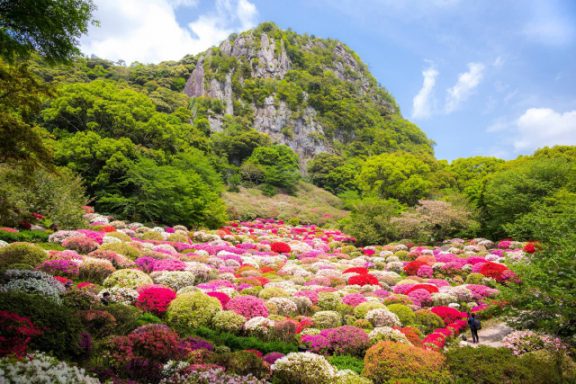 10 Best Places to See Azaleas in Japan | Kyuhoshi