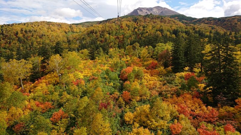 2022 Japan Autumn Foliage Forecast | Kyuhoshi