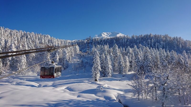 7-Day Hokkaido Winter Itinerary in December | Kyuhoshi