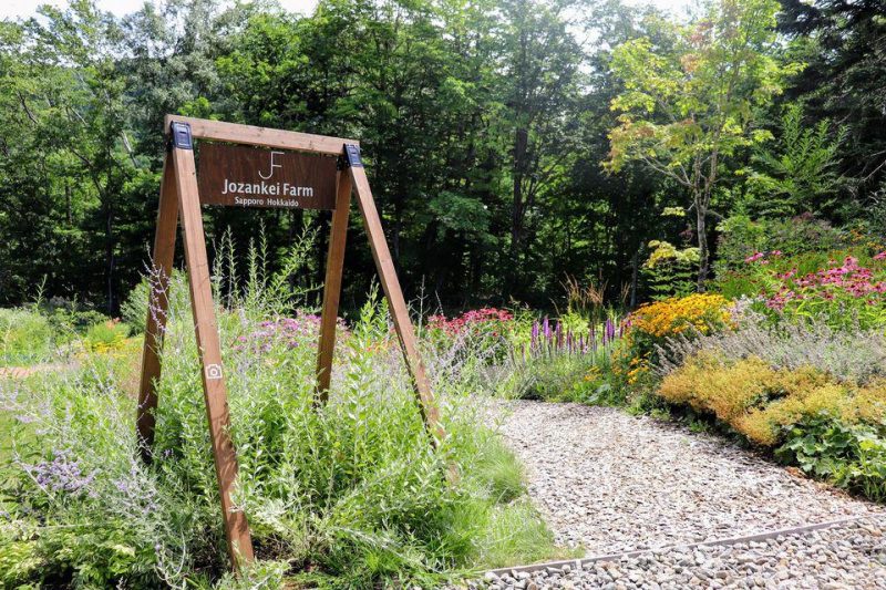 Fruit Picking in Hokkaido Where to go? Kyuhoshi
