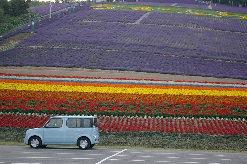 Hokuseiyama Lavender Field, Furano