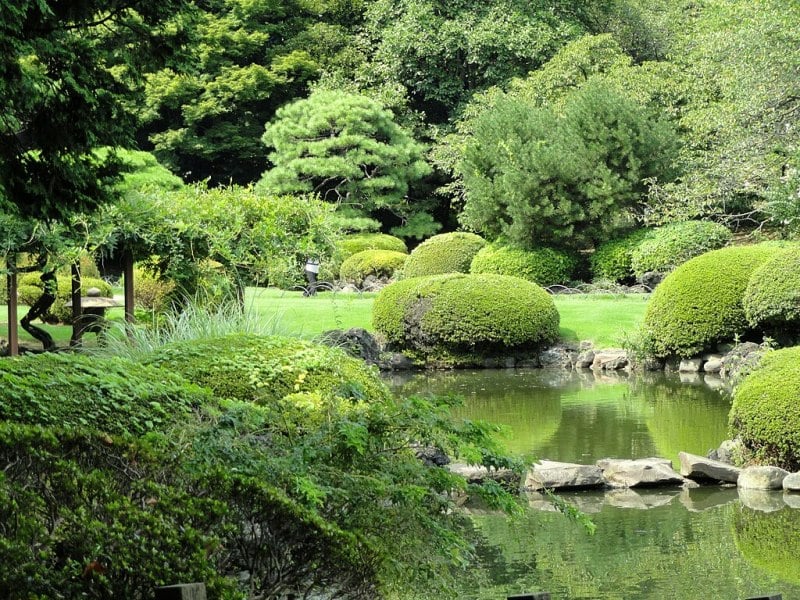 Shinjuku Gyoen National Garden in Summer