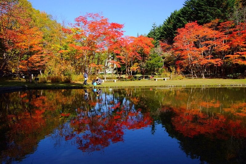 Benizakura Park in Autumn, Sapporo, Japan.