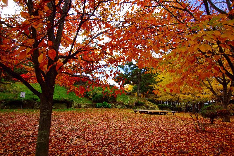 Nishioka Park, Sapporo