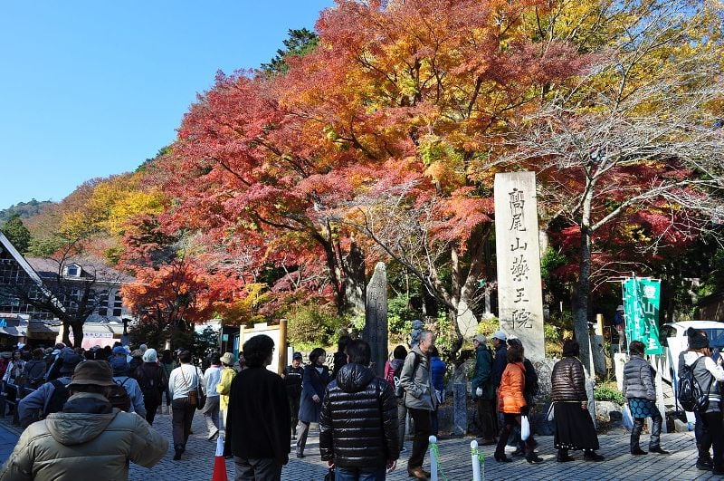 Mount Takao - Autumn Foliage