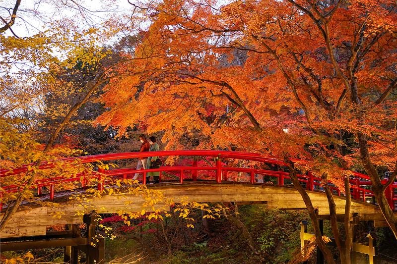 Ikaho Onsen's Kajika Bridge in Autumn