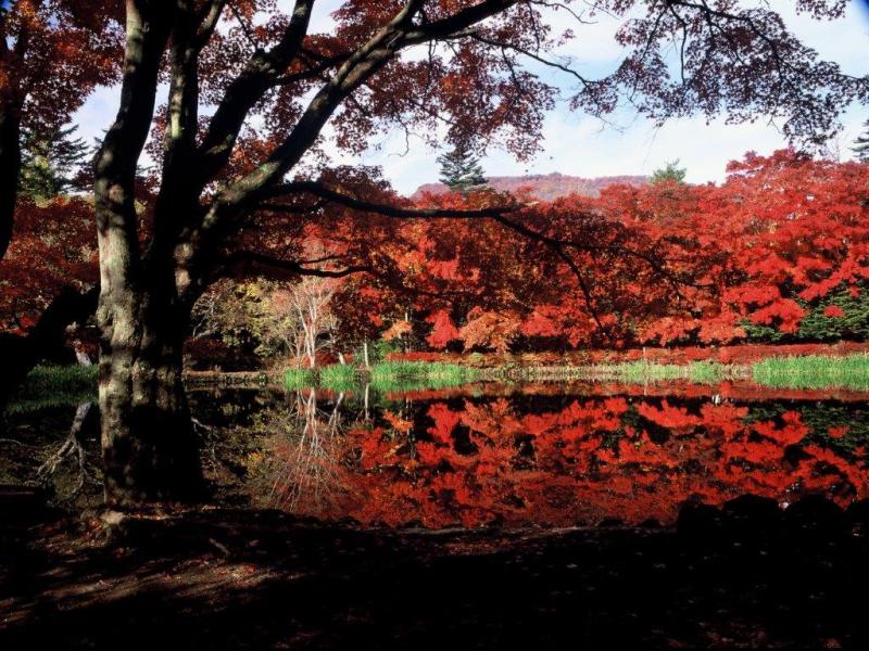 Kumobaike Pond in Karuizawa, Japan