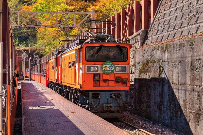 Best Train Journeys in Japan for Autumn Leaves