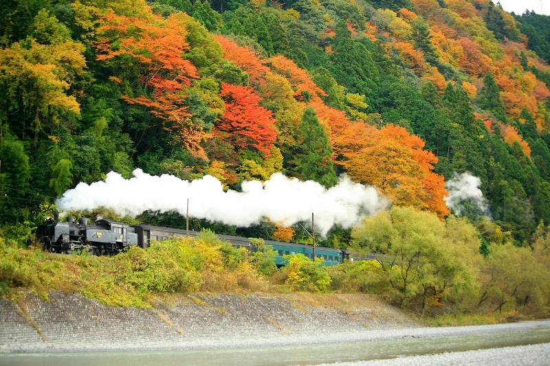 Oigawa Railway, Japan