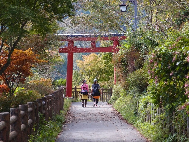 Torii at Mount Mitake