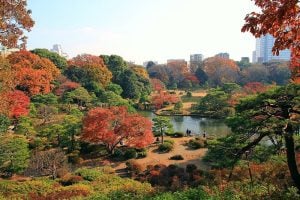 Rikugien Garden in Autumn, Tokyo