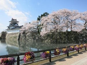 Toyama Castle Park in Spring