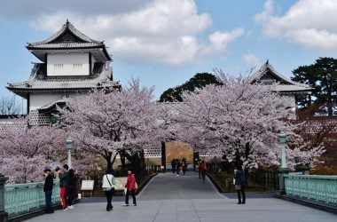 Sakura at Kanazawa Castle Park, Japan