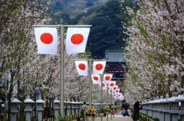 Cherry blossoms in Japan