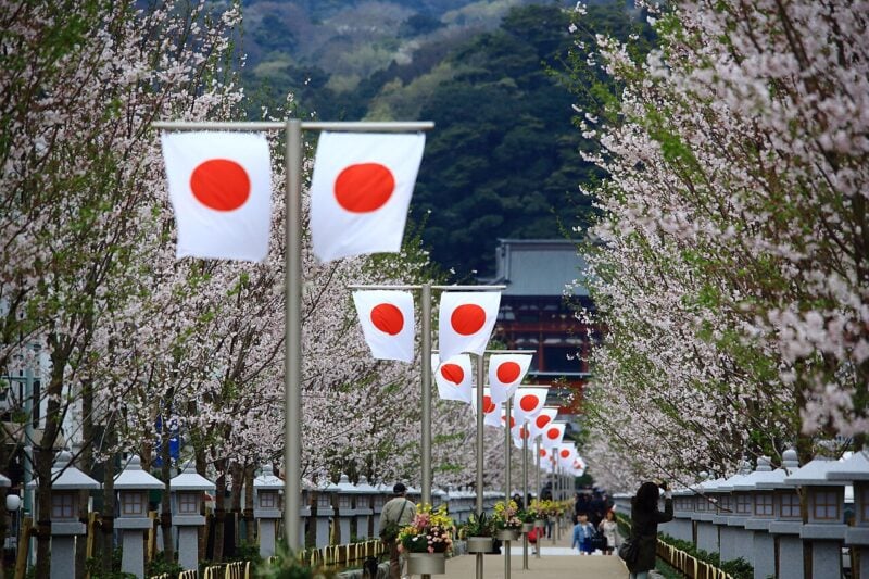 Cherry blossoms in Japan