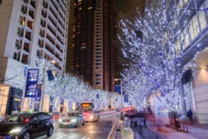Winter Illumination at Roppongi, Tokyo