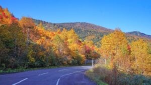 Autumn leaves of Mount Hachimantai in October