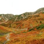 Early autumn foliage spots in Japan