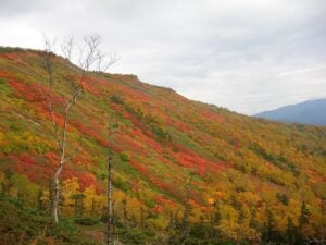 Ginsendai in Autumn, Hokkaido, Japan