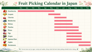 Fruit Picking Calendar in Japan