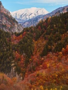 Kurobe Gorge in Autumn. This is another famous place in the Northern Japan Alps.